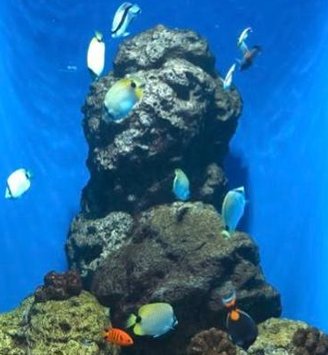 vanbenvanben's tweet image. 211日目 🎅