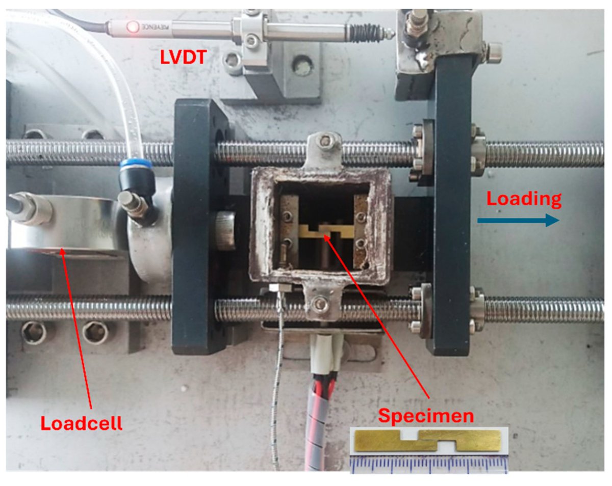 JMMP MDPI tweet media