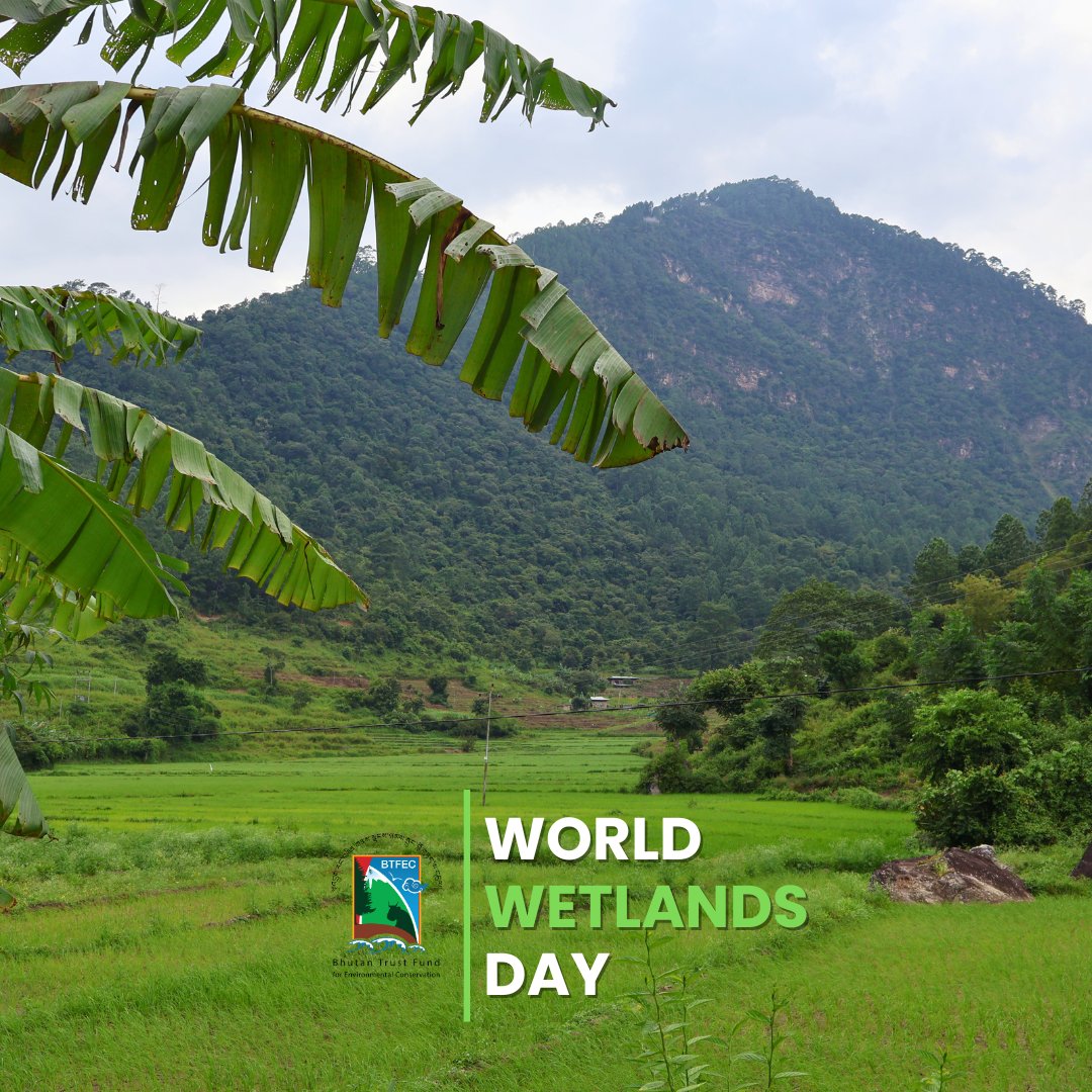 Bhutan Trust Fund for Environmental Conservation tweet media