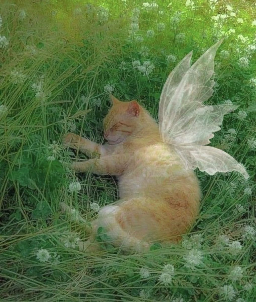 mevebooked's tweet image. hi #booktwt !
not rly new but looking for interactive moots ♡

- meve, 24, they/she, fr&amp;amp;eng
- genres : fiction, fantasy, romance, manga
-favs : a winter’s promise, soc, tihylttw, the starless sea
- others : music, gaming, films, journaling, coffee shops, dnd

♡/↻ to be moots