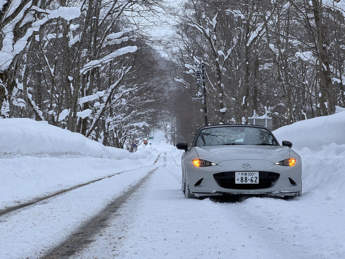 高橋unknown tweet media