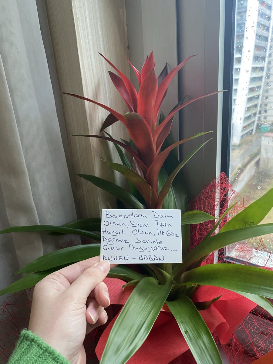 hayattaki tek motivasyonum