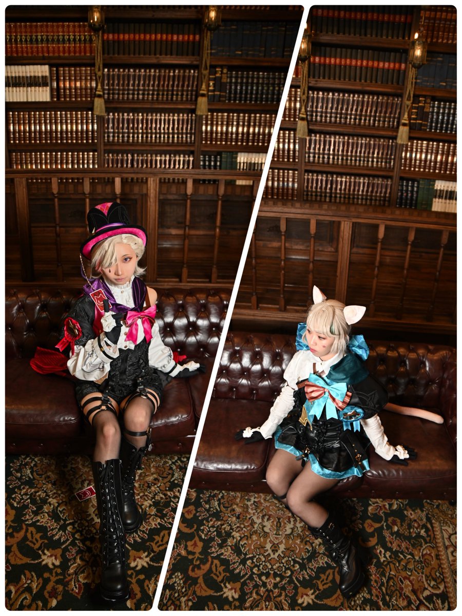 うちの妹が並べてくれた可愛い🪄🐱