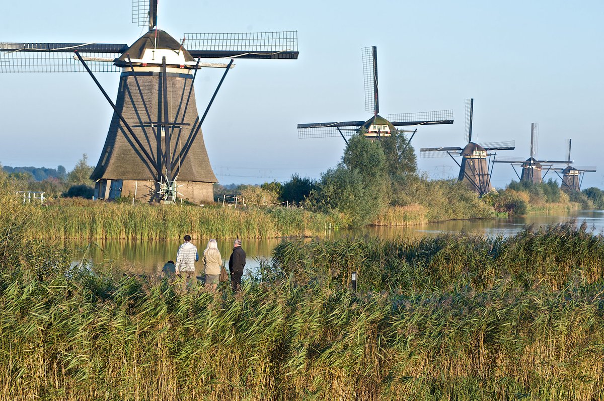 Wandelnet tweet media