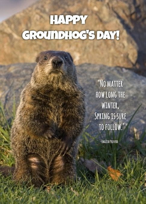 Jennifer Lynn tweet media