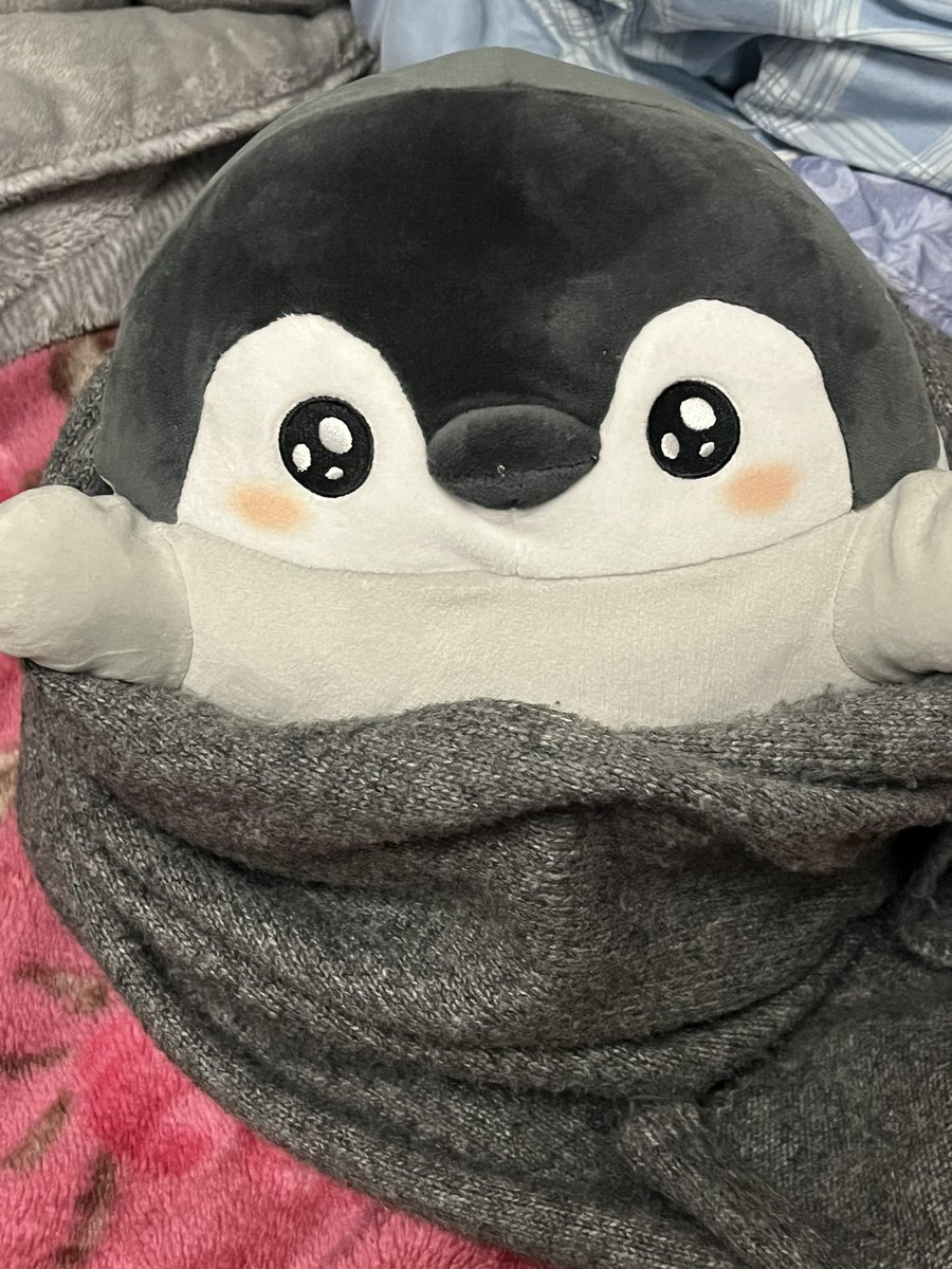 マフラー巻いてえらい！
久しぶりに投稿してえらい！