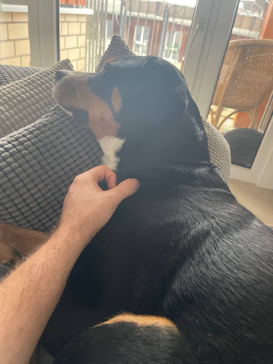 thorsten9090's tweet photo. Greetings from me and my best friend ❤️🐶 https://t.co/3kw499vJ8F