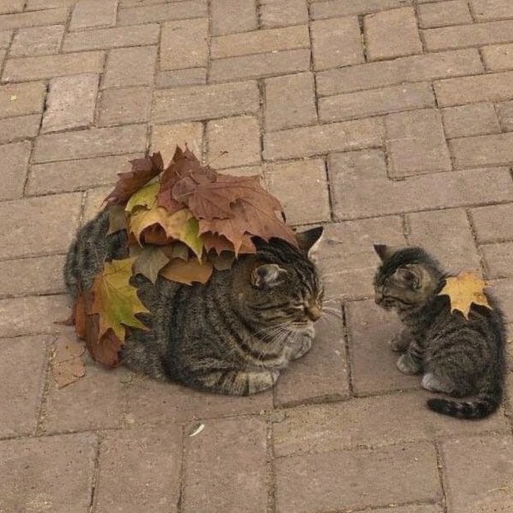 copying mama's camouflage