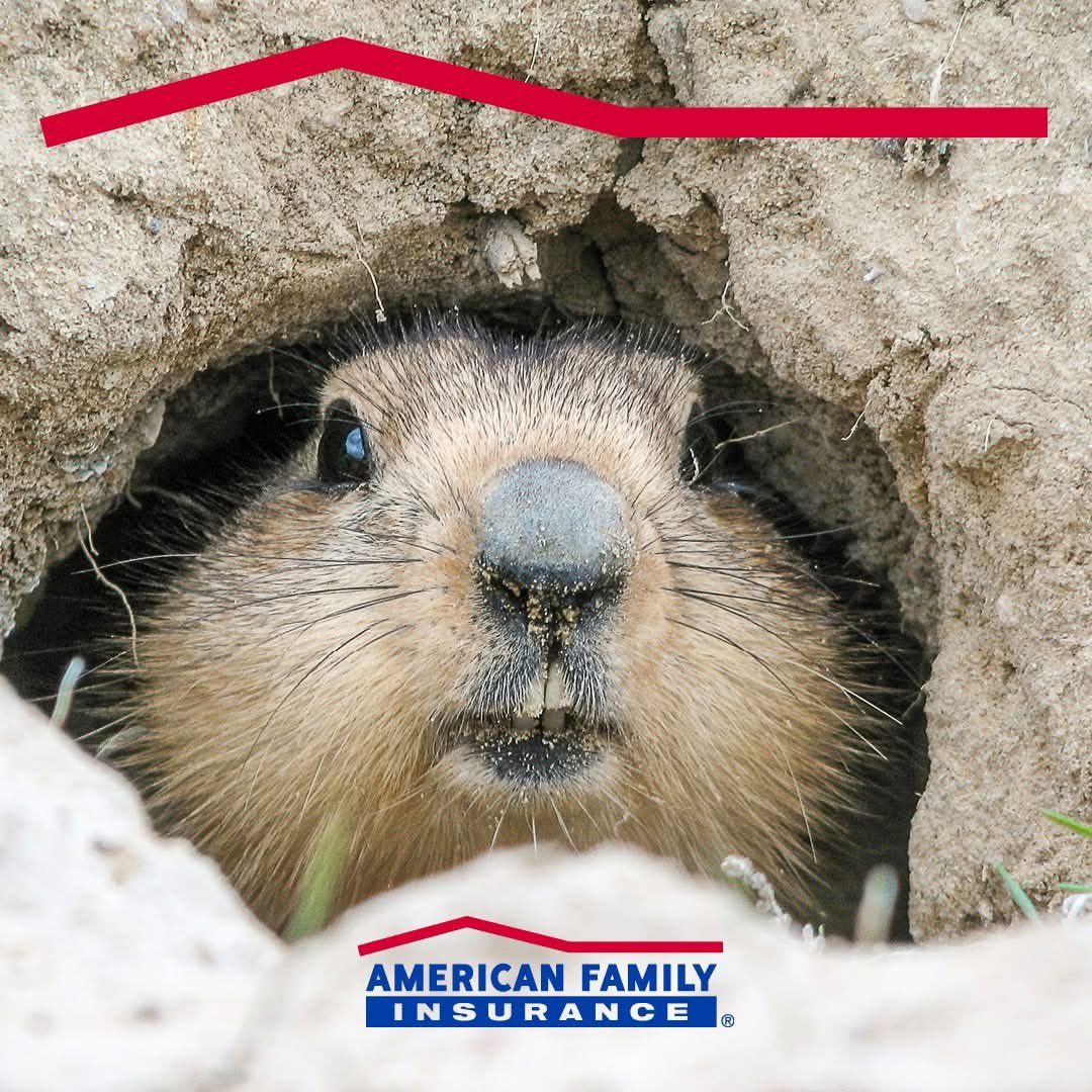 Philip Minnes (@pminnes) on Twitter photo 