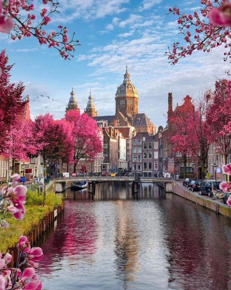 CalebChan2's tweet image. 時計を聞く 🤓