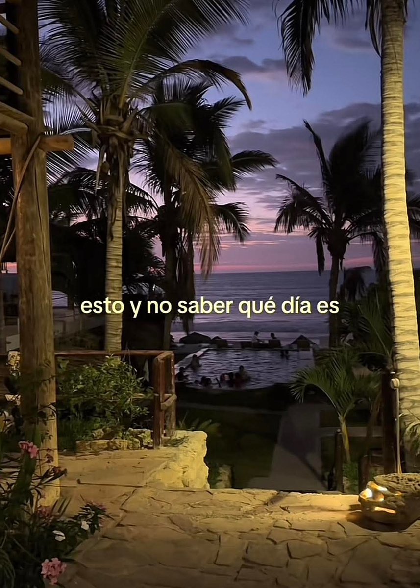 nxstypxet's tweet image. 