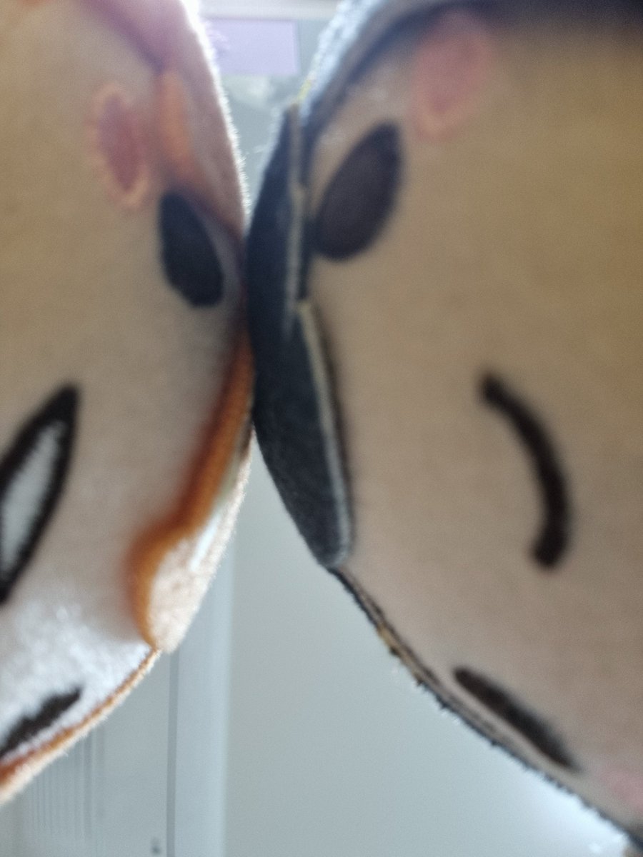 요즘 유행?하는 그 사진...