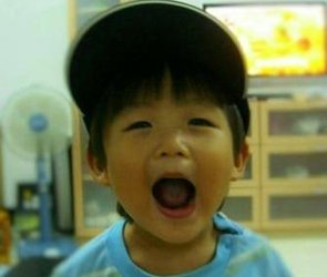 OneeWalker's tweet image. 車に飛ぶ 🐹