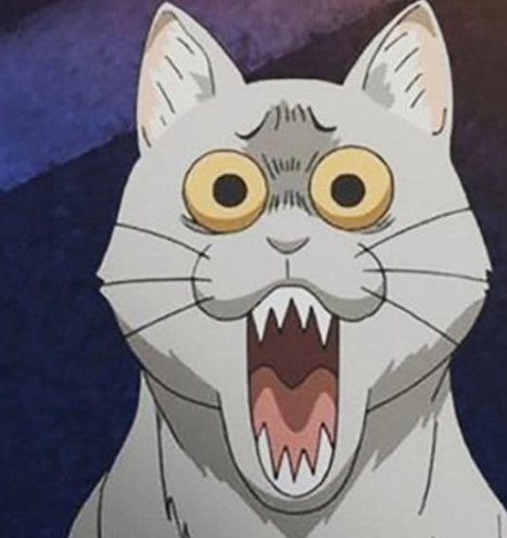 bufhap's tweet image. 自転車を歩く 👨‍⚕️