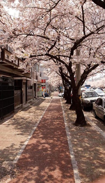 bugoymutati's tweet image. どっちの地球？ 🦹