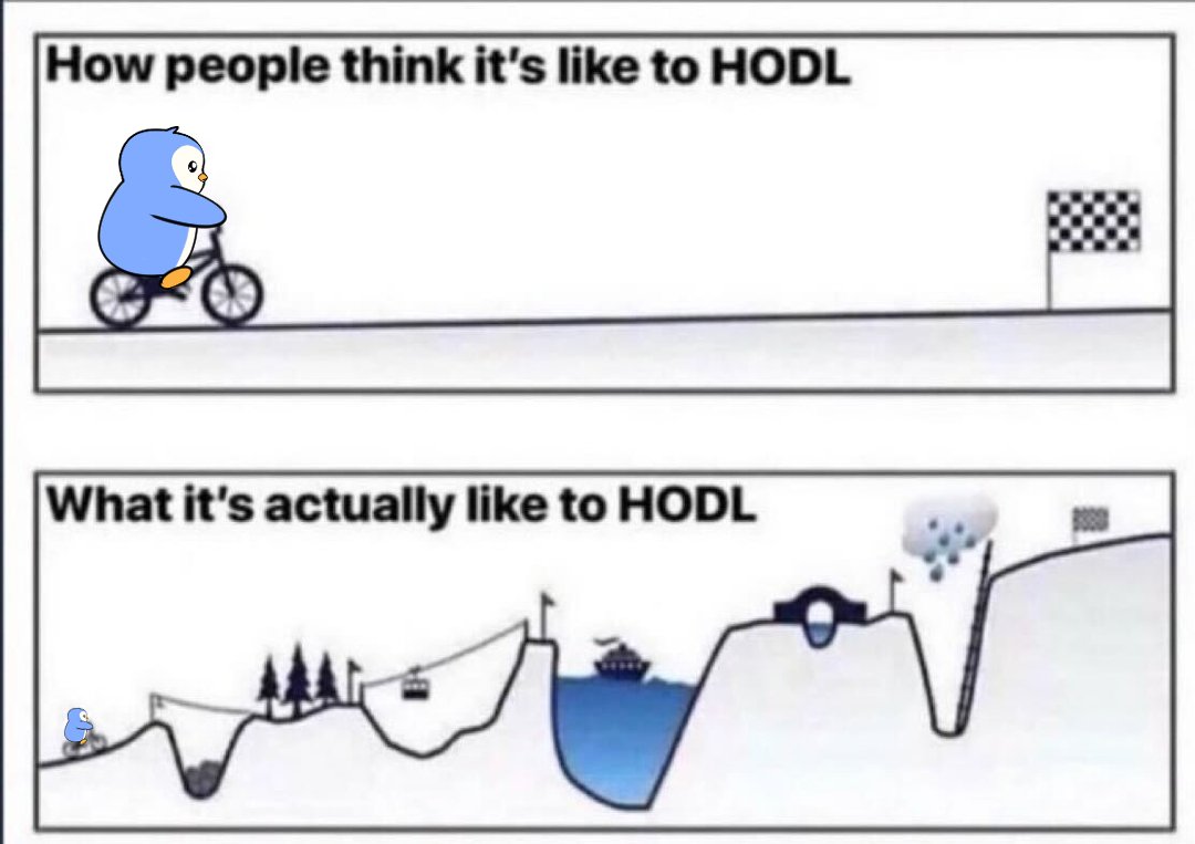 What people see is the gains and the wins.

What they dont see is the journey behind that 💙🐧