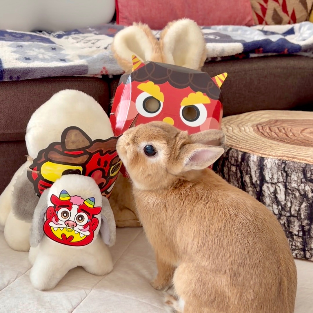 鬼退治中👹 #節分 #うさぎ #ネザーランドドワーフ
