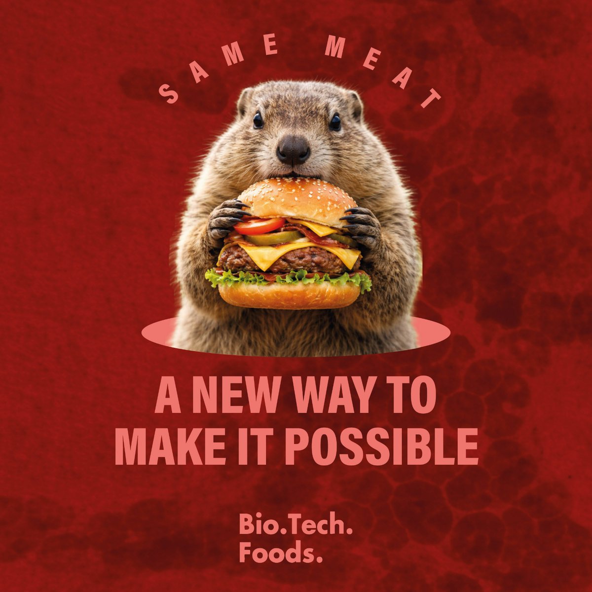 BioTech Foods tweet media