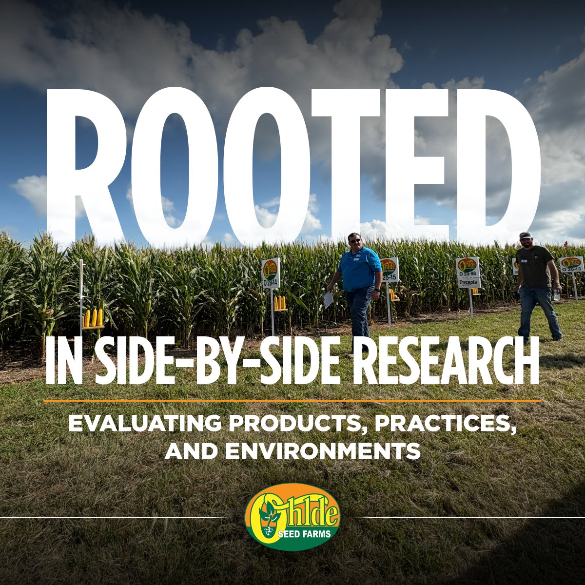 Ohlde Seed tweet media