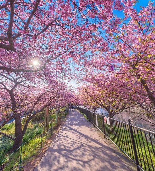 ひろし＠投資初心者_jp55 tweet media