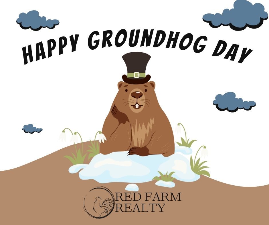 redfarmrealty's tweet image. 🐾Happy Groundhog Day! Whether the groundhog sees its shadow or not, life in the Big Country keeps moving. At Red Farm Realty, we’re ready to help you find your perfect piece of Texas land or home, no matter the season.🐓🙏❤️

#RedFarmRealty #GroundhogDay #FaithFamilyLand