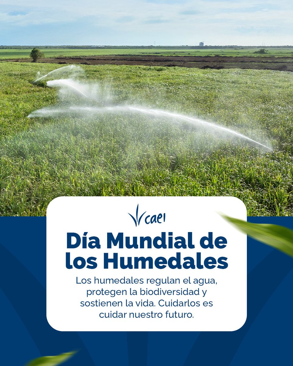 Consorcio Azucarero de Empresas Industriales CAEI tweet media