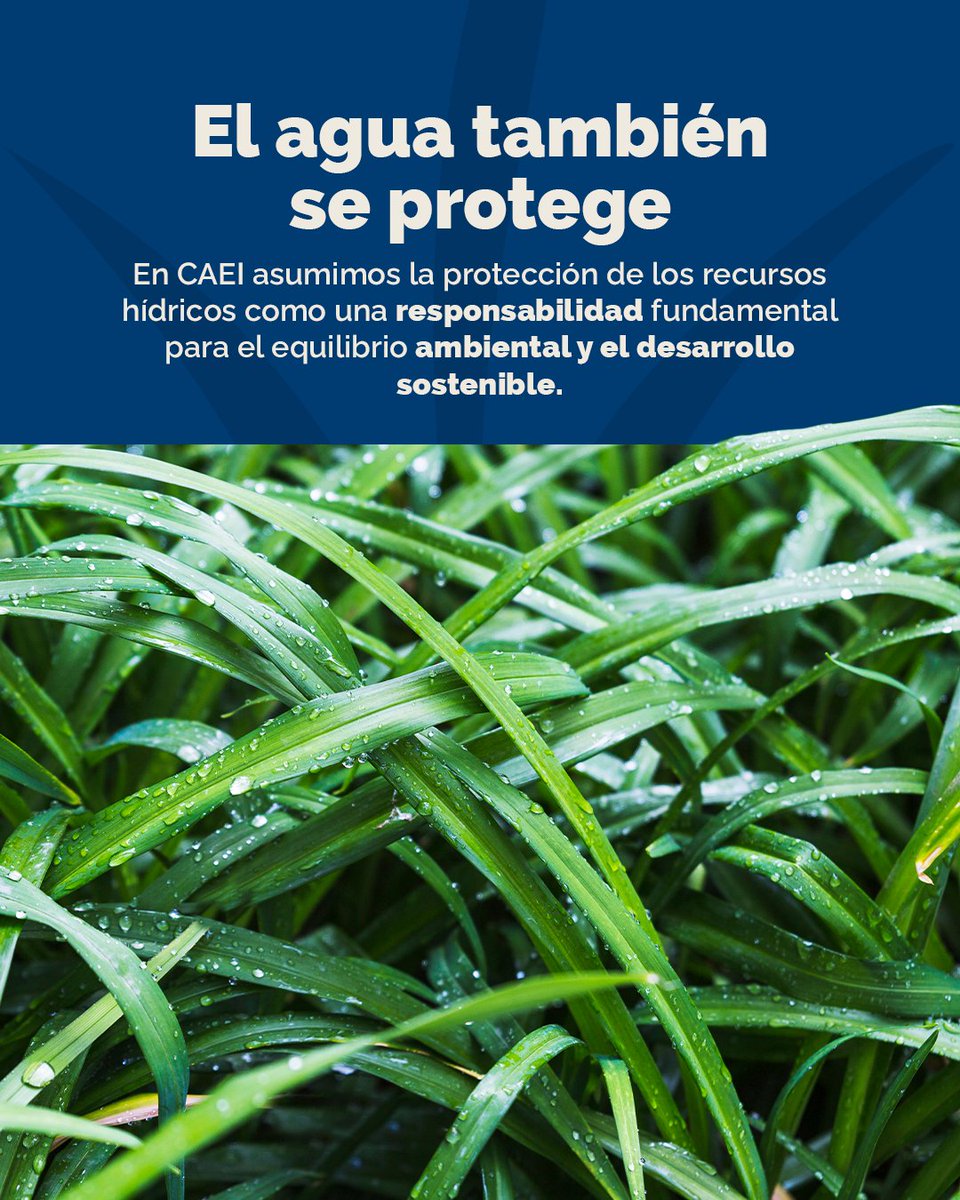 Consorcio Azucarero de Empresas Industriales CAEI tweet media