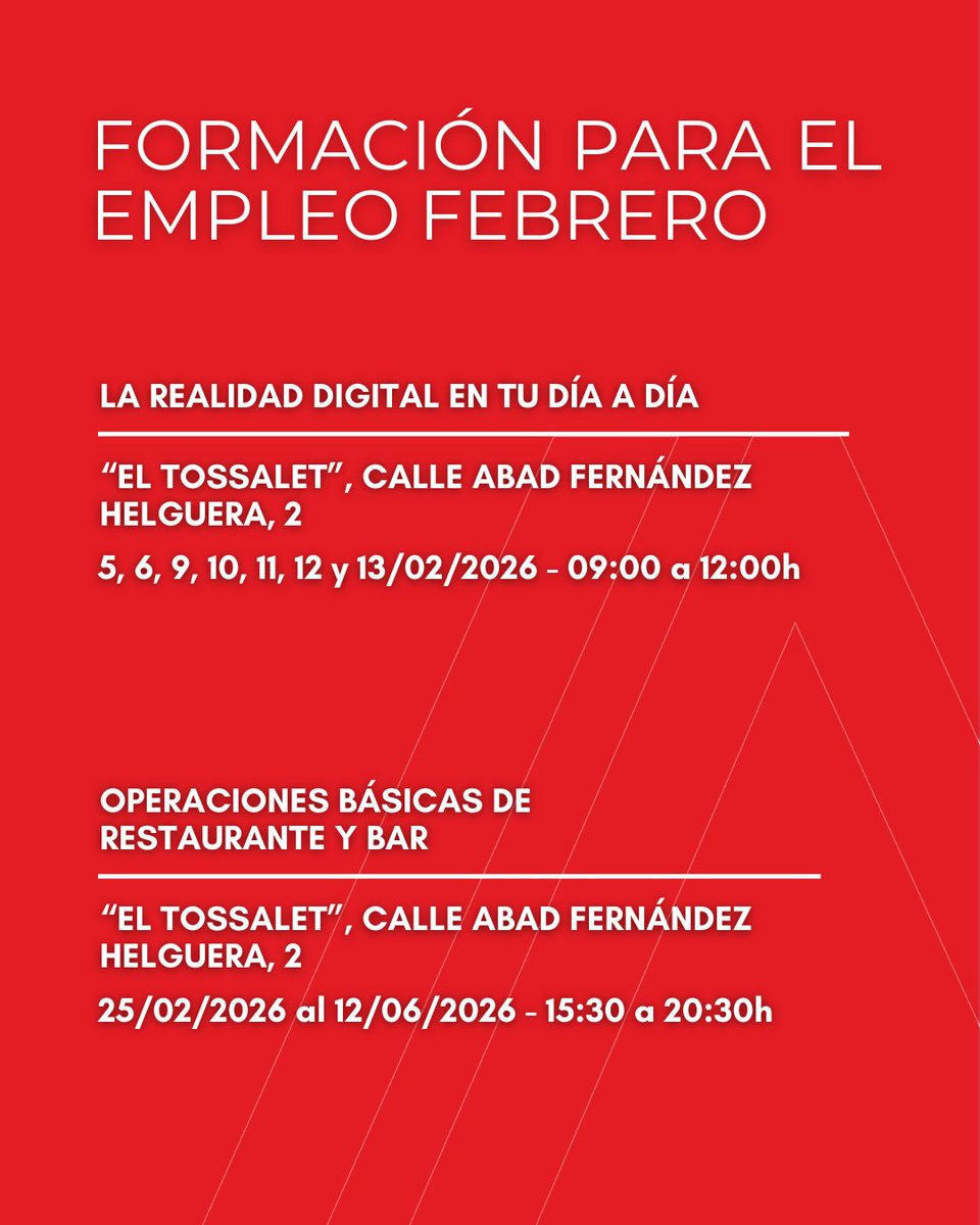 AgenciaLocalAlicante tweet media