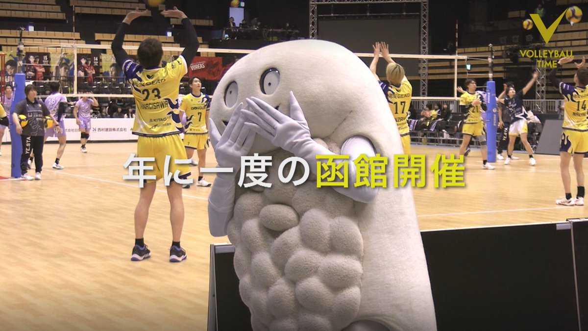 VOLLEYBALL TIME / UHBバレーボール取材班 tweet media