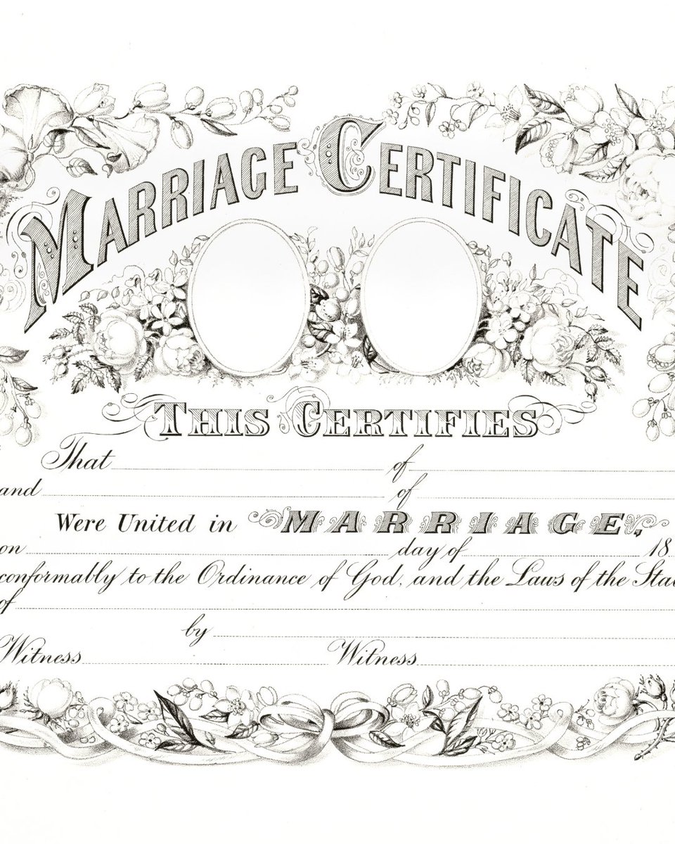 HitchSwitch tweet media