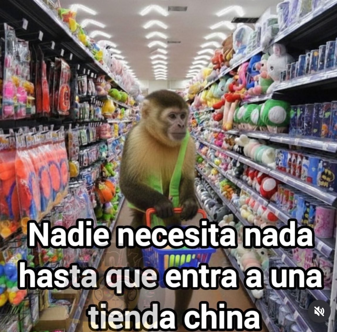 _onerolita's tweet image. 