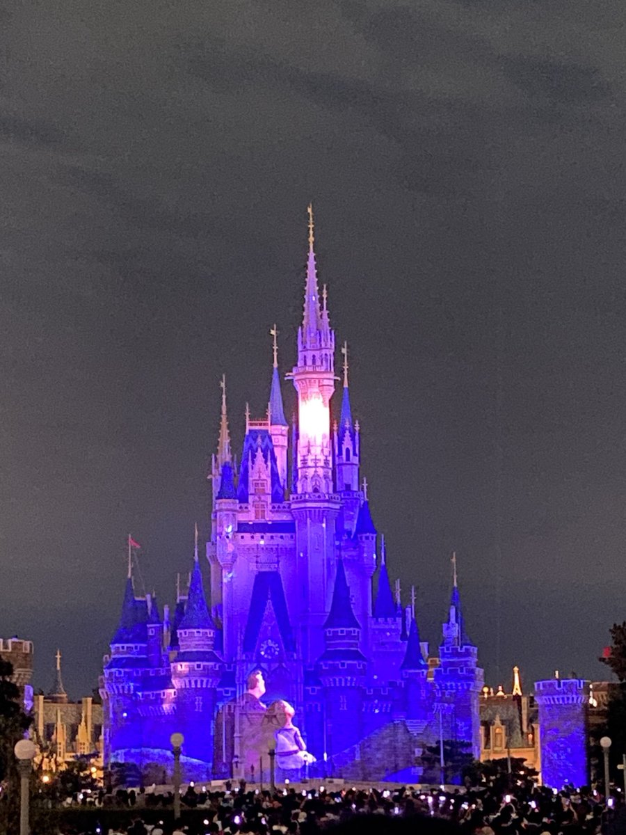 小珍盈 tweet media