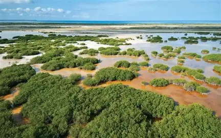 Importancia de los Humedales elnuevodiario.com.do/humedales-impo…  @diariolibre <a href="/acentodiario/">acento.com.do</a> <a href="/devarez_jose/">José E. Devárez</a> <a href="/GUZMAN2000MN/">Jorge Guzmán🇩🇴</a> <a href="/JoseMonegro/">José P. Monegro</a> <a href="/icoabreu/">Ico Abréu</a> <a href="/LeonelFernandez/">Leonel Fernández</a> <a href="/nieves_rd/">Ricardo Nieves</a> <a href="/PeriodicoHoy/">Periódico Hoy</a> <a href="/ListinDiario/">LISTÍN DIARIO</a> <a href="/GeraldinoG5/">Geraldino Gonzalez</a> <a href="/SIN24Horas/">Noticias SIN</a> <a href="/NTelemicro5/">Noticias Telemicro</a> <a href="/Telenoticiasrd/">TelenoticiasRD</a> <a href="/minoutavarezm/">Minou Tavárez Mirabal</a> <a href="/rcavada/">RCNoticias</a> <a href="/z101digital/">Z101 Digital</a>