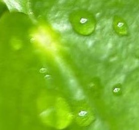 cesared82's tweet image. 悪い大きさ 🌑