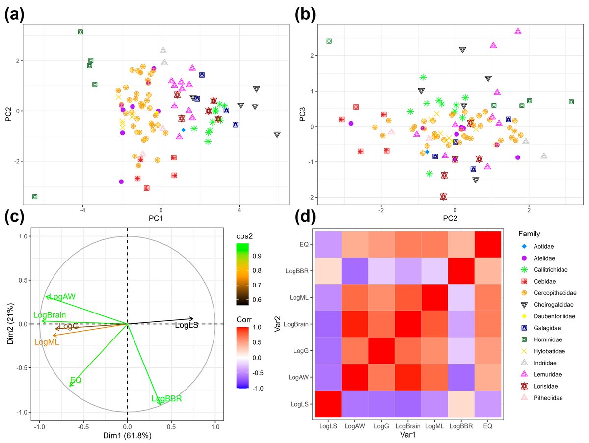 Humans_MDPI tweet media