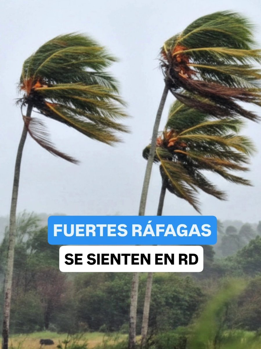 🔵🔵TOMEN NOTA | Ha iniciado febrero, el mes más frío del año en República Dominicana: coincide con la influencia directa del sistema frontal número 24 y una masa de aire polar; el ambiente se ha tornado muy frío en las últimas 12 horas por la llegada de estos dos fenómenos