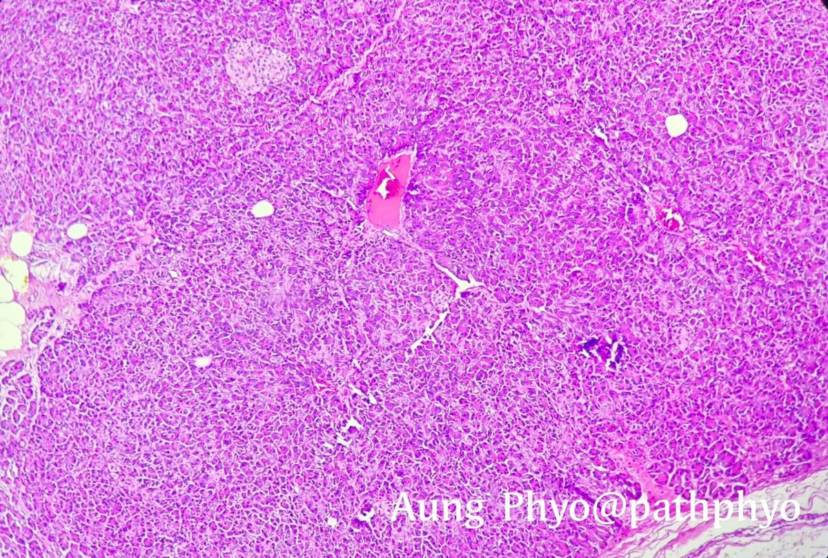 aung phyo tweet media