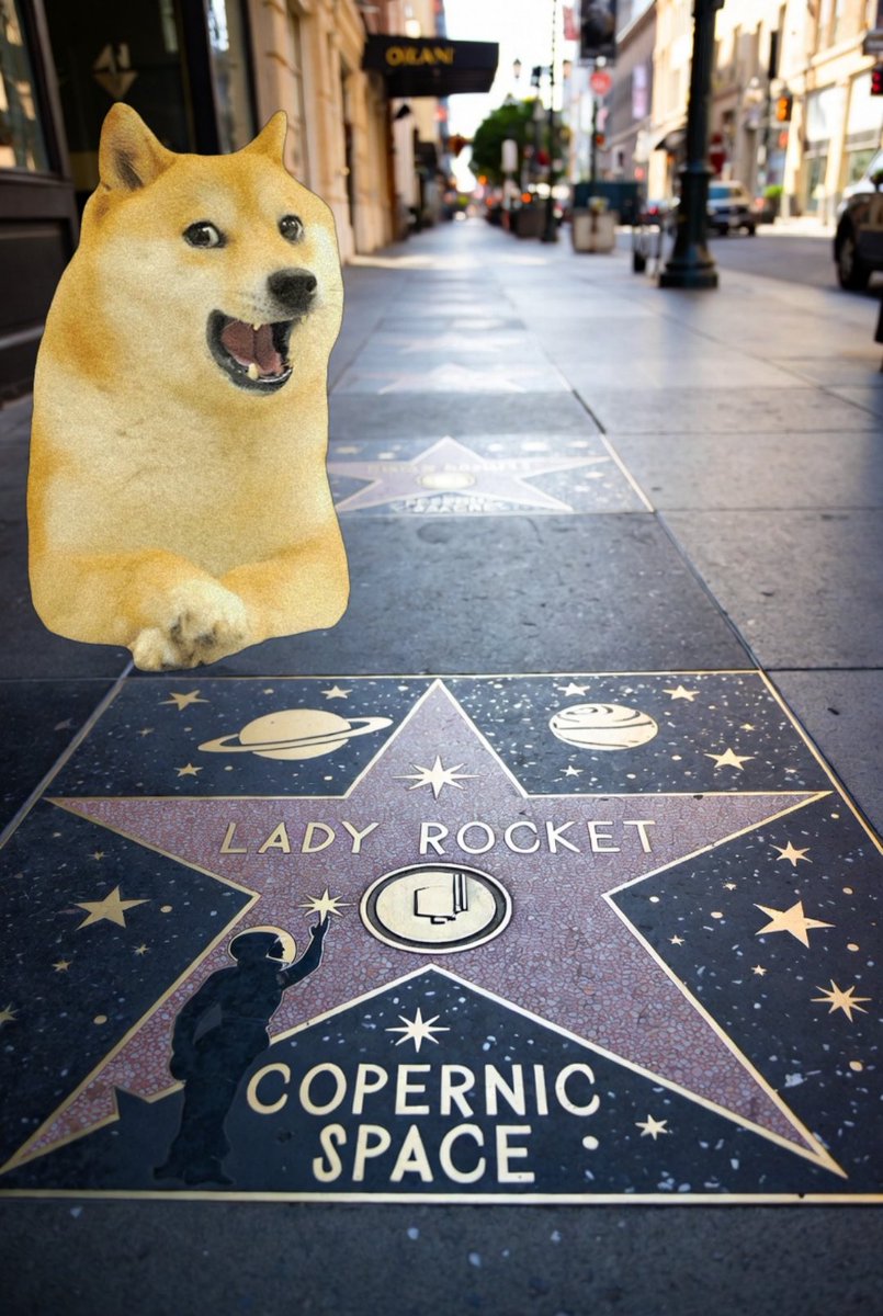 Digital Ronin X tweet media