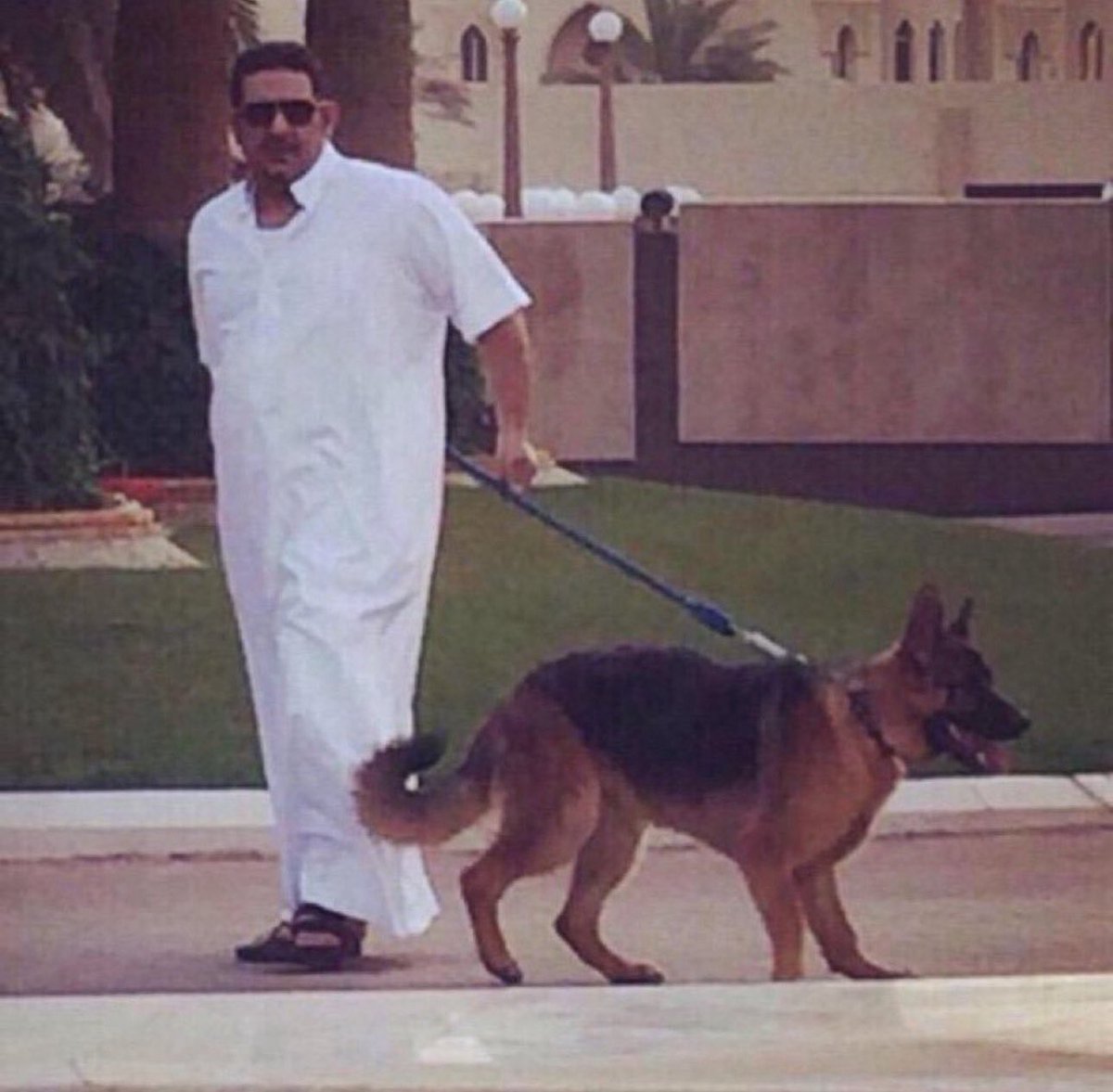 جاكم الي يلعن ابو جدكم في كل ديره
افهموها مثل ماتبغون يالربع افهموها 

 #تعطيل_الهلال_مرفوض