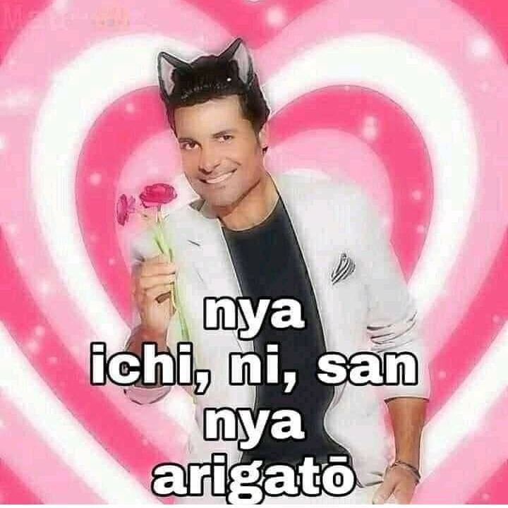 kmnao's tweet image. help repost, thank you!

halo mentemen, aku mau bagiin layout dibawah ini FOR FREEE!! udah dijajanin sama cayangku itu :3 syaratnya wajib dipakai dan harus ambil sesuai fc nya ya! bisa langsung reply aja mau yang mana, nanti aku dm!

#zonauang