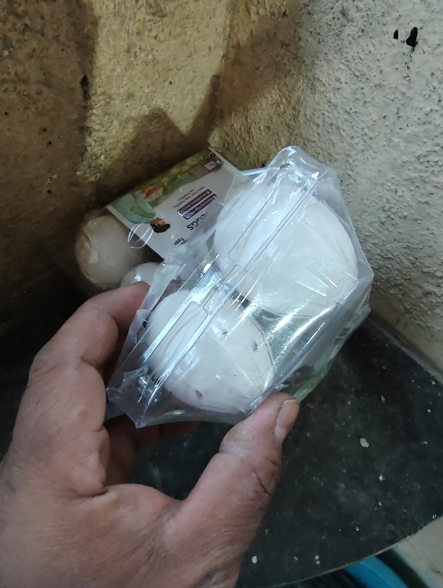 manishdey26feb's tweet photo. @myfreshtohome Your pickup agent still hasn’t arrived. Please see— insects have started coming even though the package is unopened, and it’s smelling badly. This is becoming a health concern for my family.
Since the delay is from your side, can I dispose of it and receive a refund? https://t.co/yY9N8J6kNk
