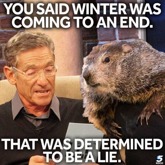 Make me proud today little groundhog!!!  Happy Groundhog Day!!! 🥶