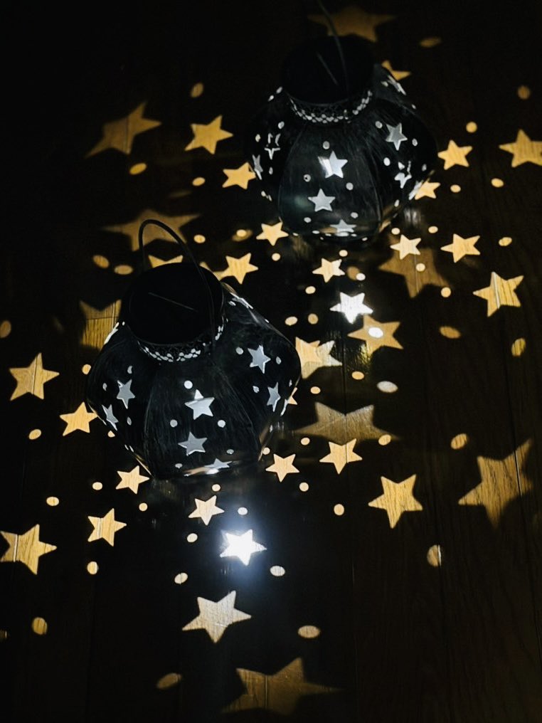 ソーラーライトなんだけど700円だったから期待しないでポチってみたんだけど

←商品写真　　　　　　　→実際届いたもの

想像の100倍良かった