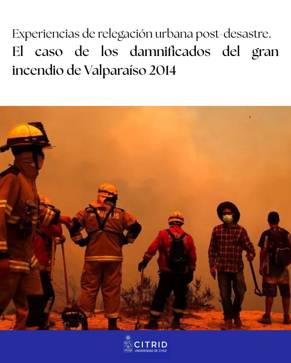 citriduchile tweet media