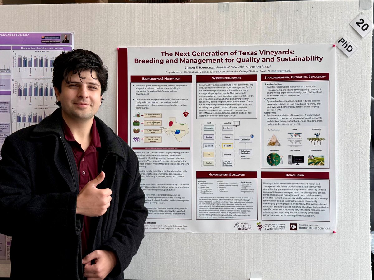 TAMU Horticultural Crop Physiology Lab 🍇🍊🍑🫒 tweet media