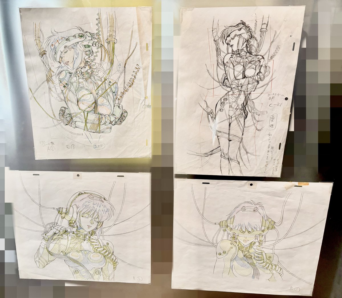 展示会見てきました〜大満足 