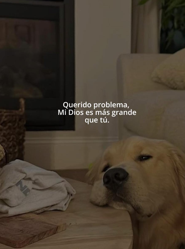 BANDIDOS (@bandidosfrasess) on Twitter photo 