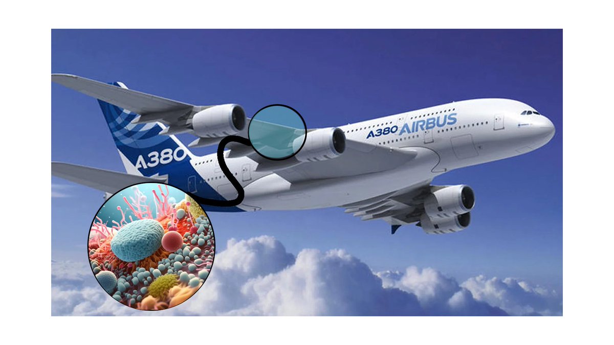 Systems Biotechnology Group tweet media