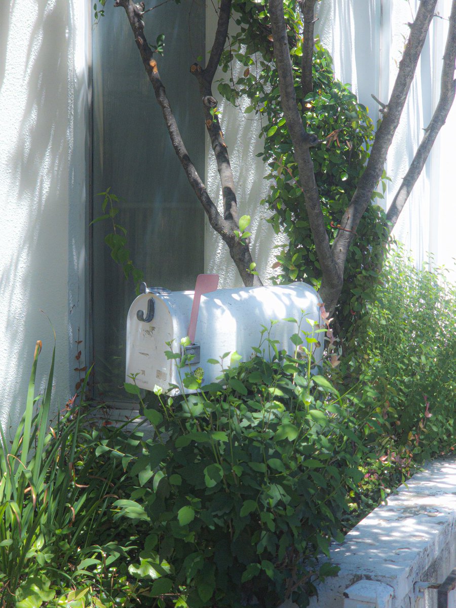 프리그 | 3월부코 토요일 tweet media