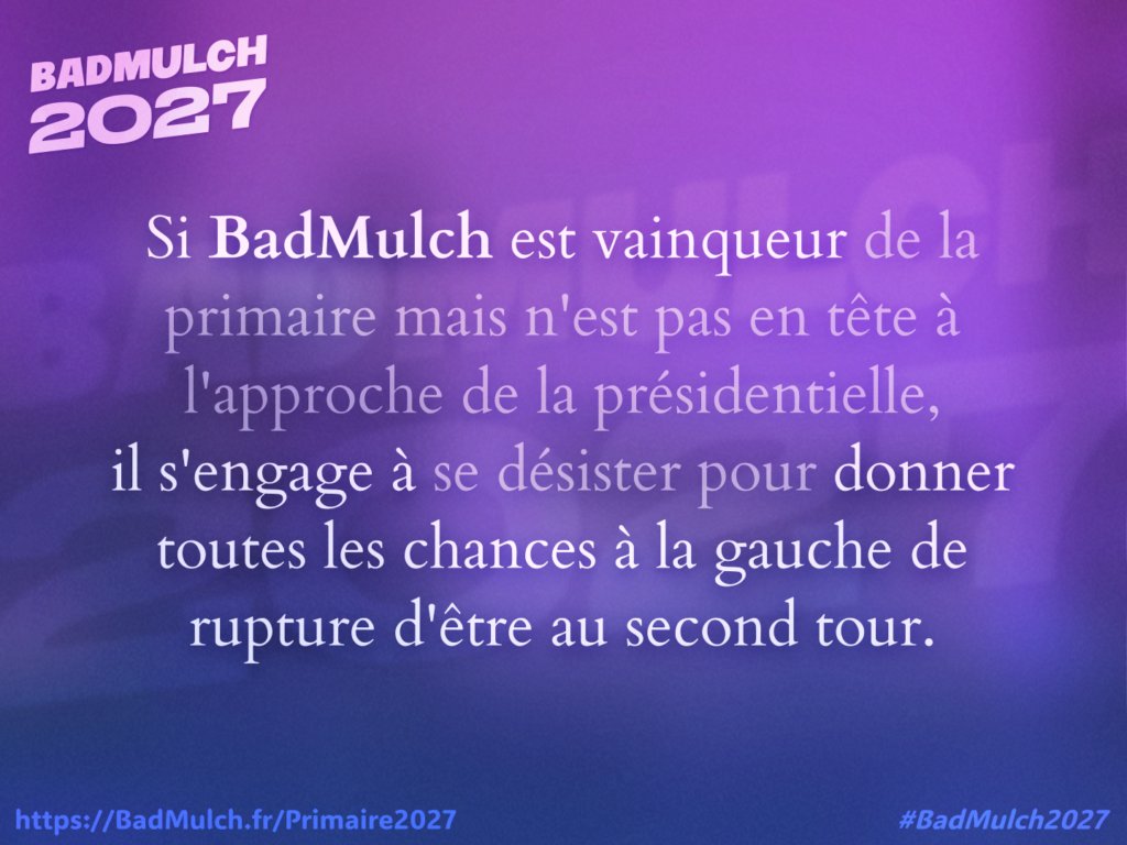 Tom Baumert tweet media